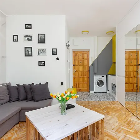 Starlight In By Renters *