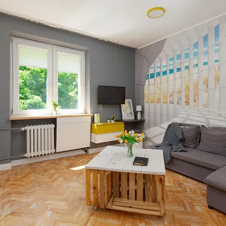 Starlight In By Renters