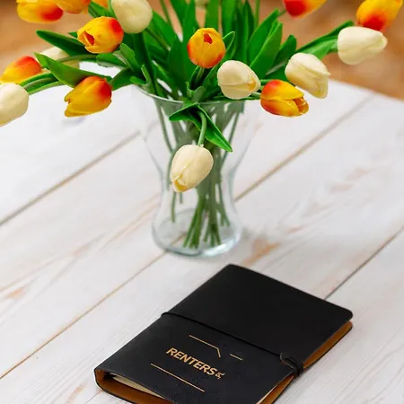 Apartment Starlight In By Renters *