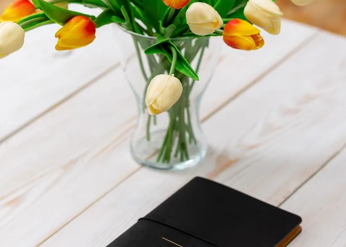 Apartment Starlight In By Renters *